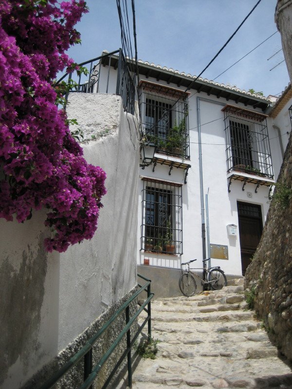 House at Realejo, Granada